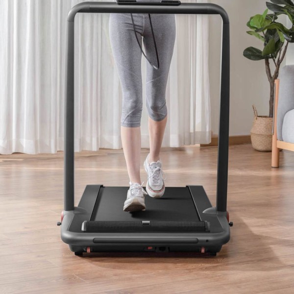Бігова доріжка для ходьби Flow Fitness DTM 200i
