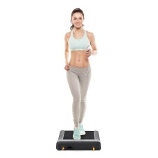 Бігова доріжка для ходьби Flow Fitness DTM 100i