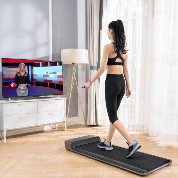 Бігова доріжка для ходьби Flow Fitness DTM 100i