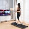 Бігова доріжка для ходьби Flow Fitness DTM 100i