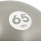 М’яч гімнастичний 65 см Reebok RAB-40016BK сірий