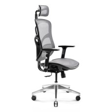 Офісне крісло ергономічне Diablo V-Basic чорно-сіре