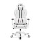 Геймерське крісло Diablo X-One 2.0 біло-чорне