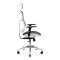 Офісне крісло ергономічне Diablo V-Basic біло-чорне