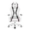 Геймерське крісло Diablo X-Horn 2.0 чорно-біле  