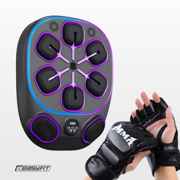 Настінний боксерський тренажер EasyFit з аперкотами (музичний бокс)