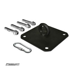 Кріплення для боксерської груші EasyFit стельове