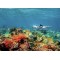 Акваскутер Sublue WHITESHARK MIX Space Blue