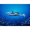 Акваскутер Sublue WHITESHARK MIX Space Blue