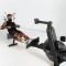 Гребний тренажер повітряний Assault Rower Pro