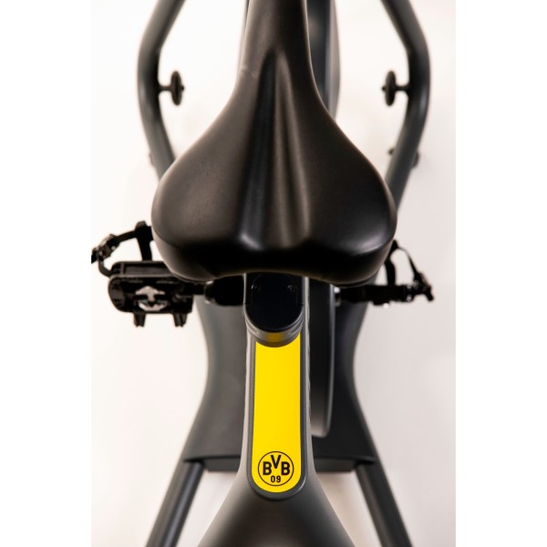 Спінбайк магнітний Kettler Indoor Bike Frame Speed BVB