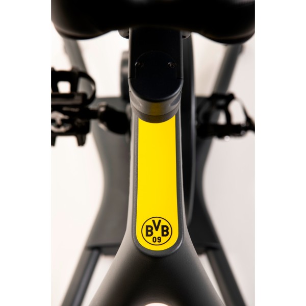 Спінбайк магнітний Kettler Indoor Bike Frame Speed BVB