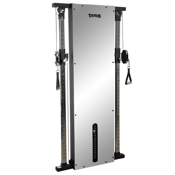 Подвійний вантажноблоковий кросовер Taurus Design Line 67,5 кг, дзеркало