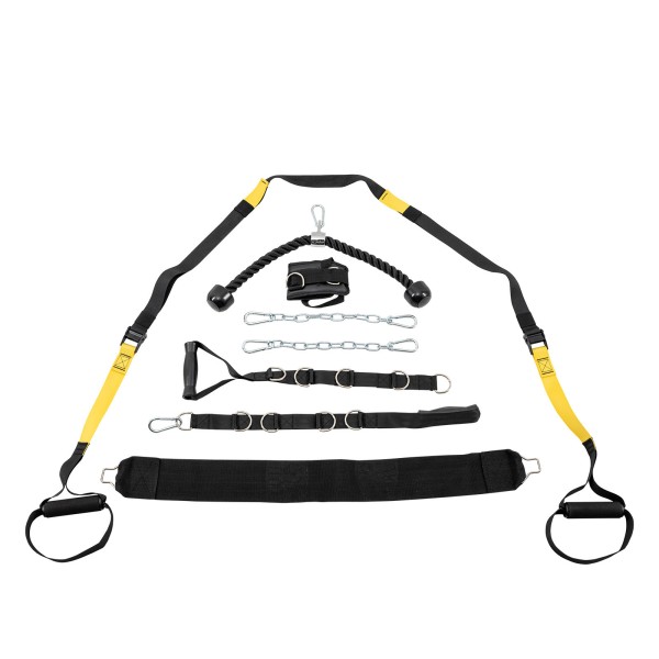 Силова станція Taurus MS25 Pro з подвійним блочним витягом, 2 х 90 кг