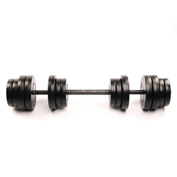 Гантелі Elitum 2х31кг + подовжувач грифа для штанги