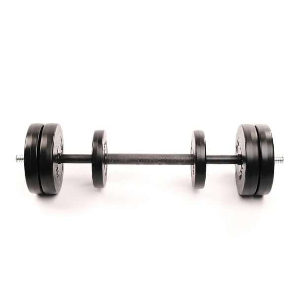 Гантелі Elitum 2х31кг + подовжувач грифа для штанги