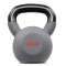 Гиря металева Hop-Sport 16кг HS-I016KB