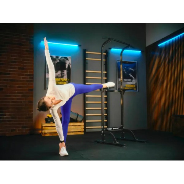 Силова станція турнік-бруси Trex Sport TX-060PR