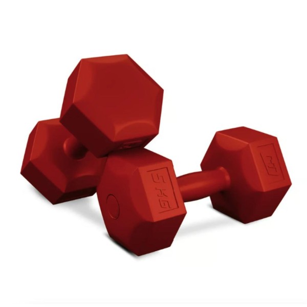 Гантелі для фітнесу композитні Hop-Sport HS-C050DS 2х5кг червоний