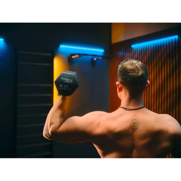 Турнік настінний Trex Sport TX-030PB чорний