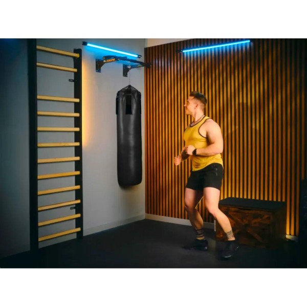 Турнік настінний Trex Sport TX-030PB чорний