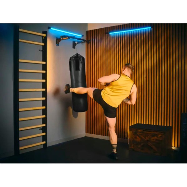 Турнік настінний Trex Sport TX-030PB чорний