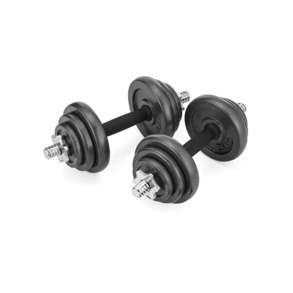 Набір гантелі в кейсі Gymtek чавунні 2х10кг