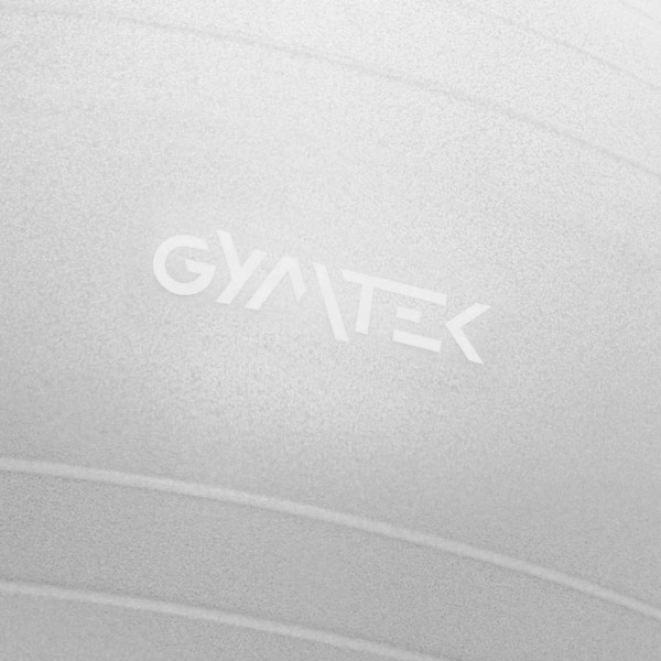 Фітбол Queenfit 65см сірий + насос