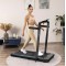 Бігова доріжка електрична складана Gymtek XT560