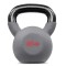 Гиря металева Hop-Sport 16кг HS-I016KB