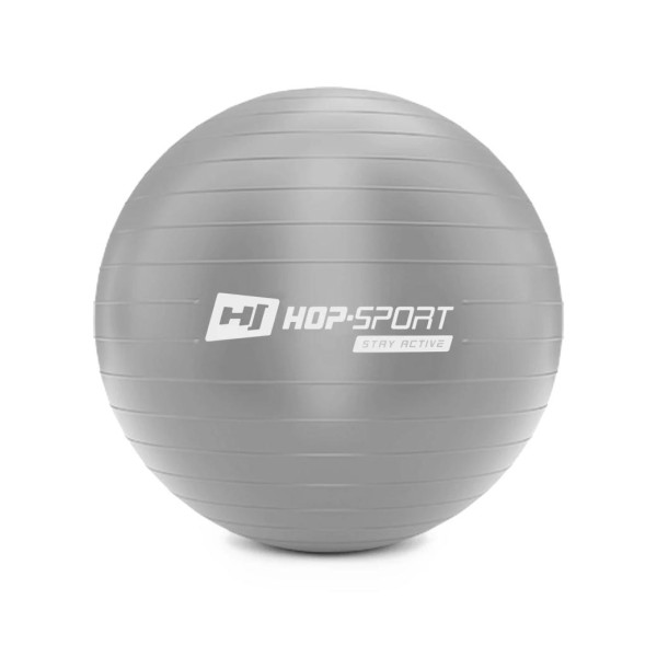 Фітбол Hop-Sport 55 см сріблястий + насос 2020