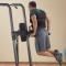 Комбінований станок Body Solid Fusion FCD Vertical Knee Raise/Pull-Up/Pull-Up