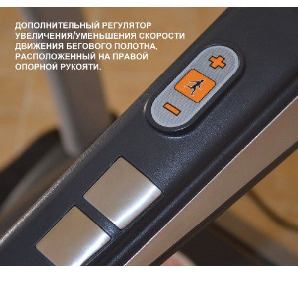 Бігова доріжка InterFit KL1312 TS6