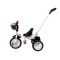 Триколісний велосипед з ручкою для батьків Lean Trike PRO100, чорний