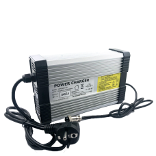 Зарядний пристрій для акумуляторів LiFePO4 36V (43.2V)-9A-324W
