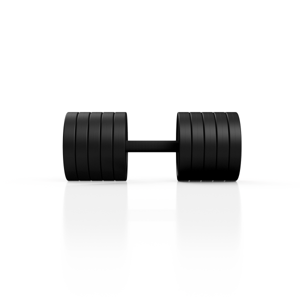 Гантель металева обгумована Marbo Sport, 40кг, чорний