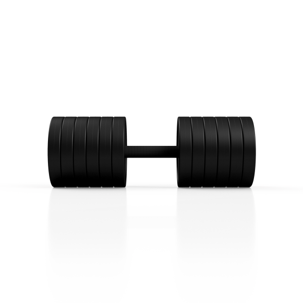 Гантель металева обгумована Marbo Sport, 50кг, чорний