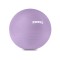 Фітбол Zipro Anti-Burst, 75 см, фіолетовий + насос