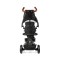 Триколісний велосипед-коляска Qplay Rito Deluxe Rubber, чорний