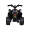 Квадроцикл на акумуляторі Quad Honda 250X TRX, чорний