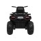 Квадроцикл на акумулятор 4x4 Ramiz Quad ATV Desert, чорний