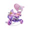 3-колісний дитячий велосипед-візок SporTrike з качкою, фіолетовий 