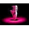 Взуття Mizuno Wave Rider 22 Рожевий блиск