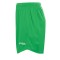 Футбольні шорти Joma Real 1035 зелені
