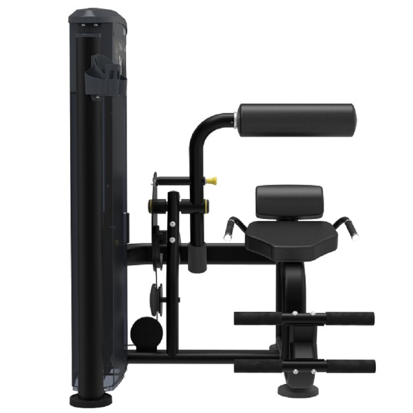 Розгинач спини Impulse Evolution