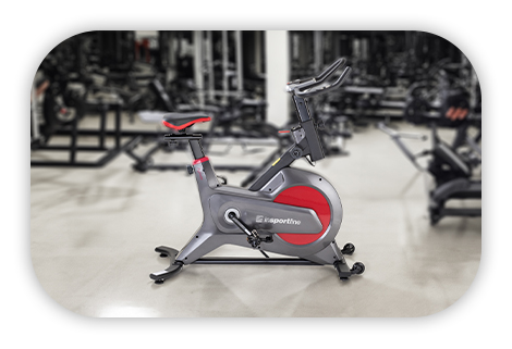 Спінбайк inSPORTline Agneto