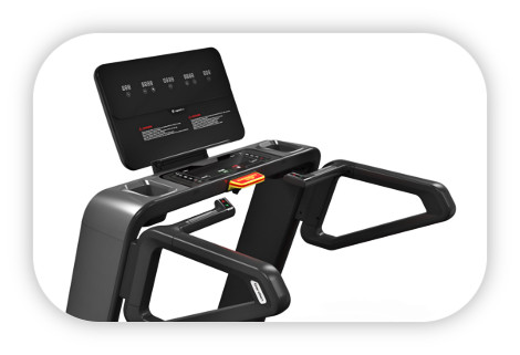 Консоль inSPORTline Gardian G10