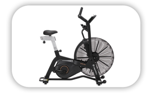 AirBike inSPORTline Max