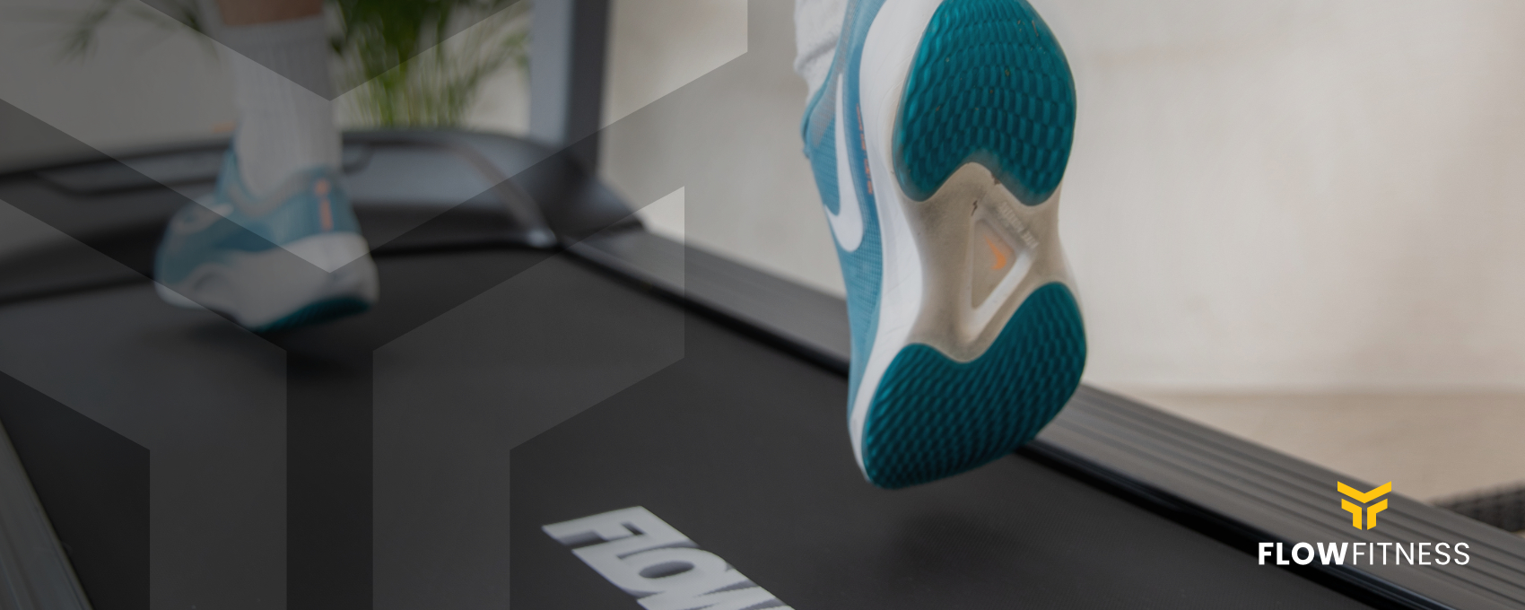 Двигун Flow Fitness Runner DTM2500