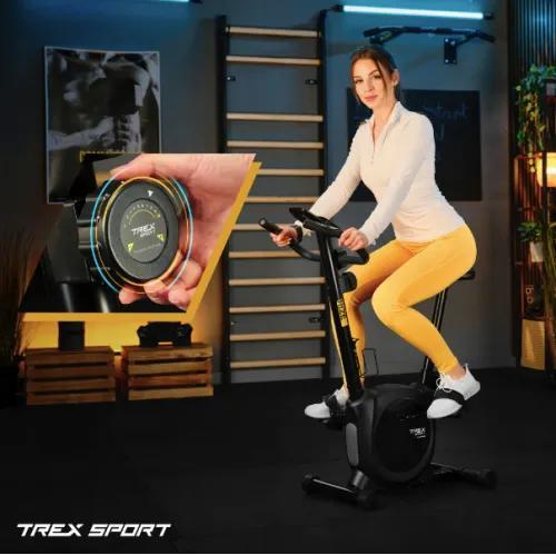 Безперервна динаміка руху